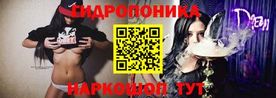 крисы Дубна