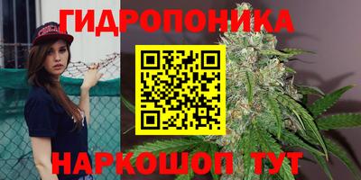 гидра Донской