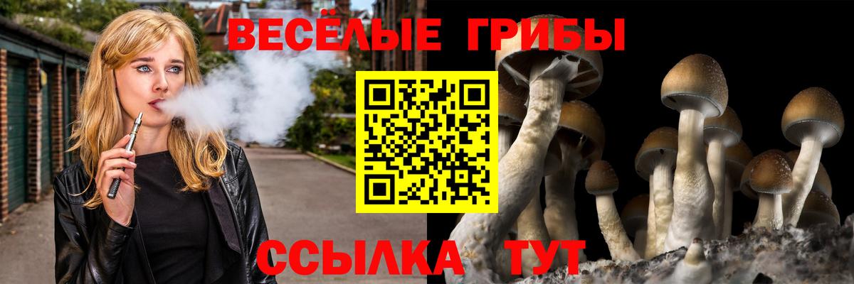 Галлюциногенные грибы мицелий Муравленко